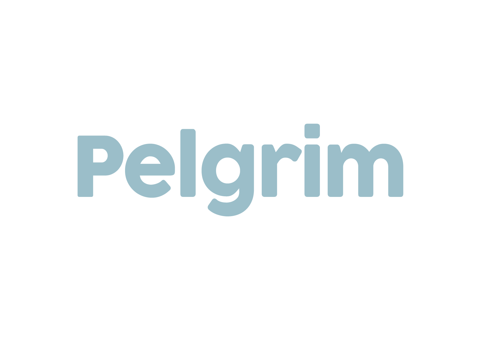 VAN IN secundair - godsdienst - Pelgrim logo