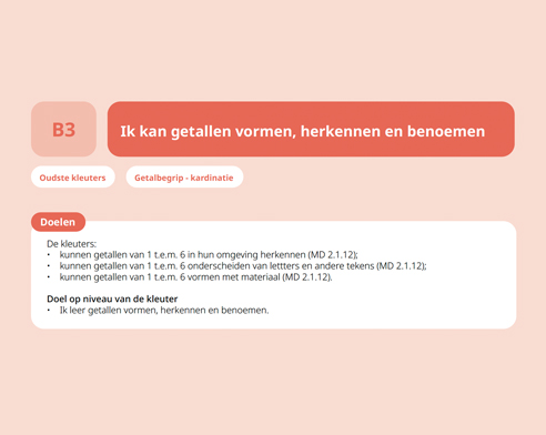 Activiteitenfiche - minimumdoelen